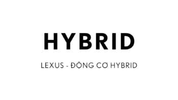 Hybrid