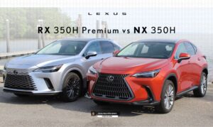 So Sánh Lexus NX 350h vs RX 350h Premium 2026 | Giá & Trang Bị