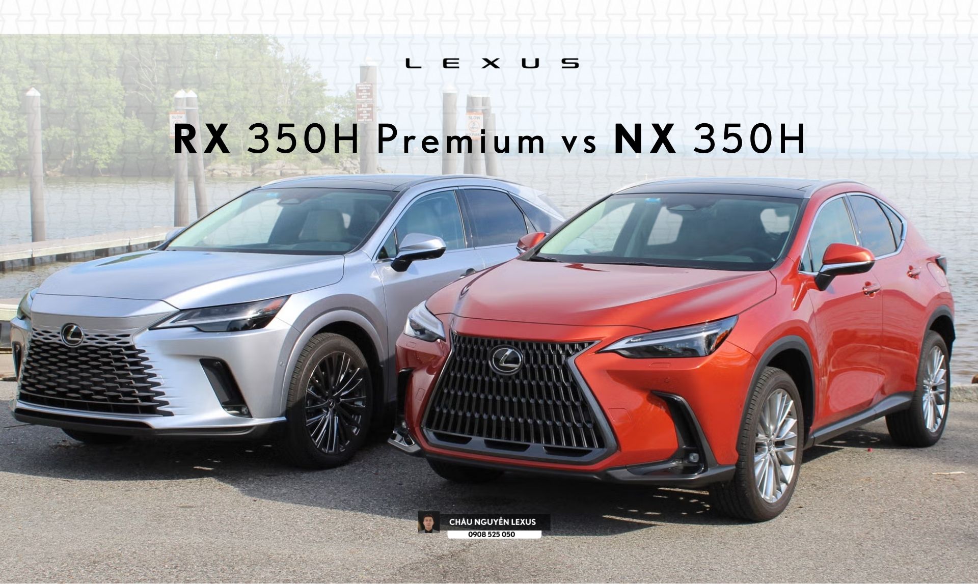 So Sánh Lexus NX 350h vs RX 350h Premium 2026 | Giá & Trang Bị